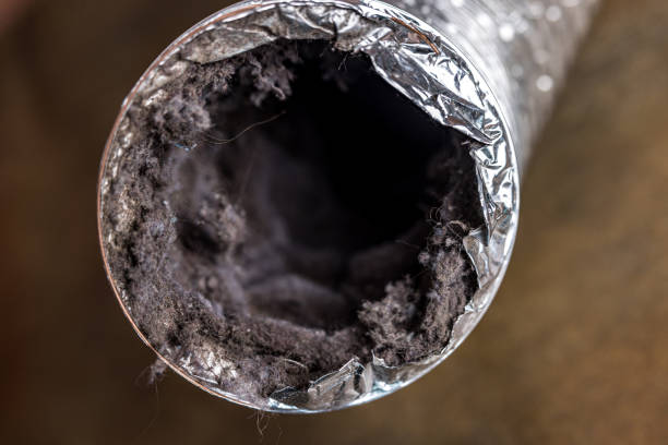 Best Air Duct Sanitizing Services  in Gillett, WI
